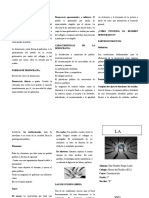 Triptico Sobre La Democracia Alumno Elio Hunther 2b 2021