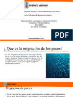 Migraciones de Peces y Especies Principales Del Perú - Pareja López Fabián