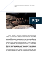 Caso Joao Prestes Filho. Rio Tiete, Araçariguama, São Paulo, Brasil (4 de Marzo de 1946)