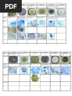 Mycology Lab1table