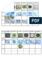 Mycology Lab1table
