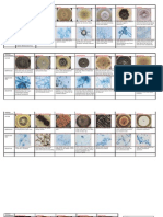 Mycology Lab Projection