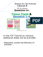 Tut8 Tissues Gen 1a2a3a4 QU Only 2022 2