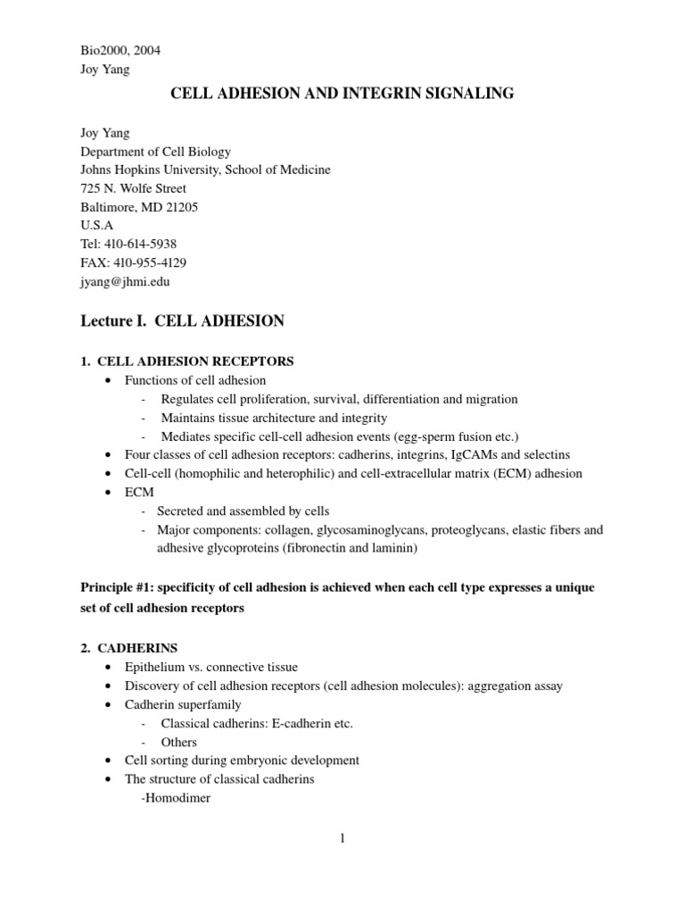 Cell Adhesion and Integrin Signaling | PDF | Cell Adhesion ...