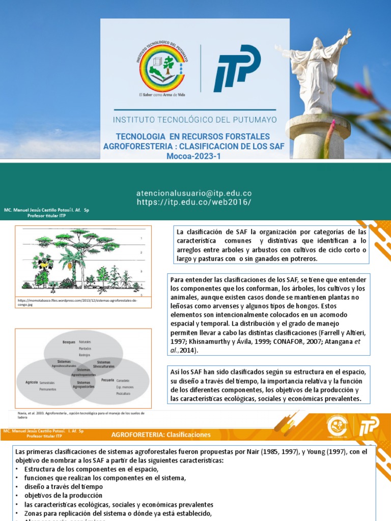 Clasificacion Saf | PDF | Agricultura