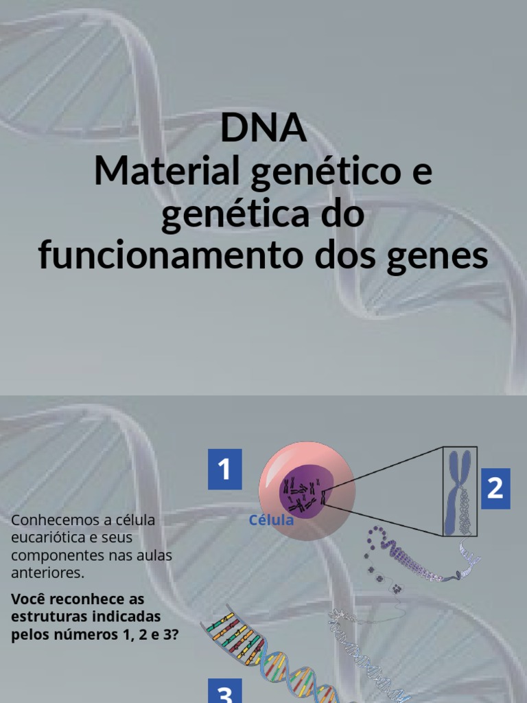 01 DNA - Material Genético e Genética Do Funcionamento Dos Genes | PDF ...