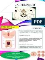 Pijat Perineum