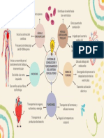 Mapa Mental - Sistema de Conducción y Funcionamiento Del Sistema Circulatorio