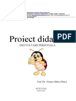 19 Proiect Didactic DP