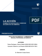 Acccion Procesal - TGP