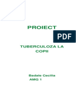 Proiect Copie