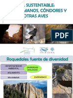 Escalada Sustentable - De Humanos, Cóndores y Otras Aves