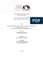 Planeacion Irregularidad y Expansion Urbanas Mata 2009 MPPM