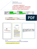 Formato Examen Parcial