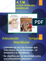 Articulación Temporo-Mandibular: Clase 2 de Oclusion