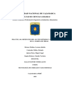 Obtencion Del Gluten Húmedo y Gluten Seco de La Harina de Trigo