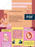 El Embarazo PDF Grupo 4