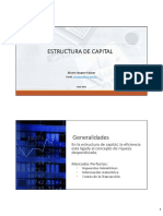 14 Estructura de Capital