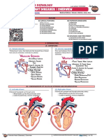 Cardiovascular Pathology - 025) Valvular Heart Diseases Overview (Notes)