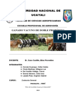 Informe de Zootecnia Manejo de Ganado DP