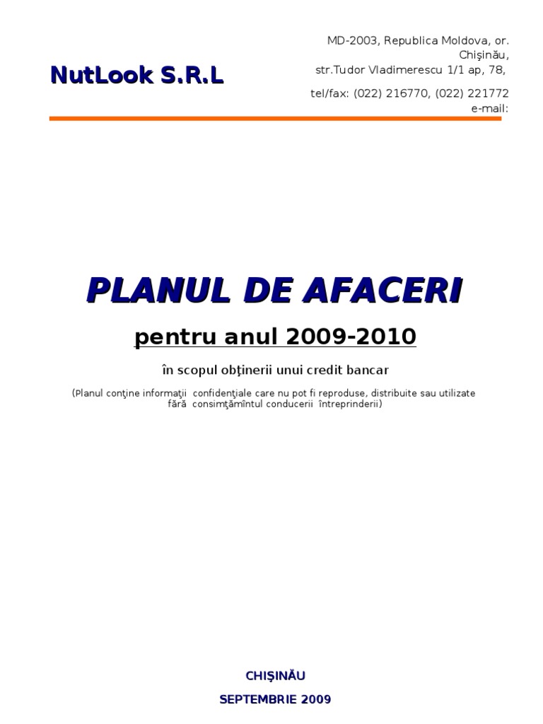Plan de Afacere PDF