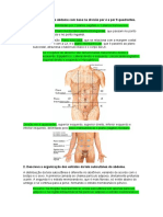 Abdome 1 PDF