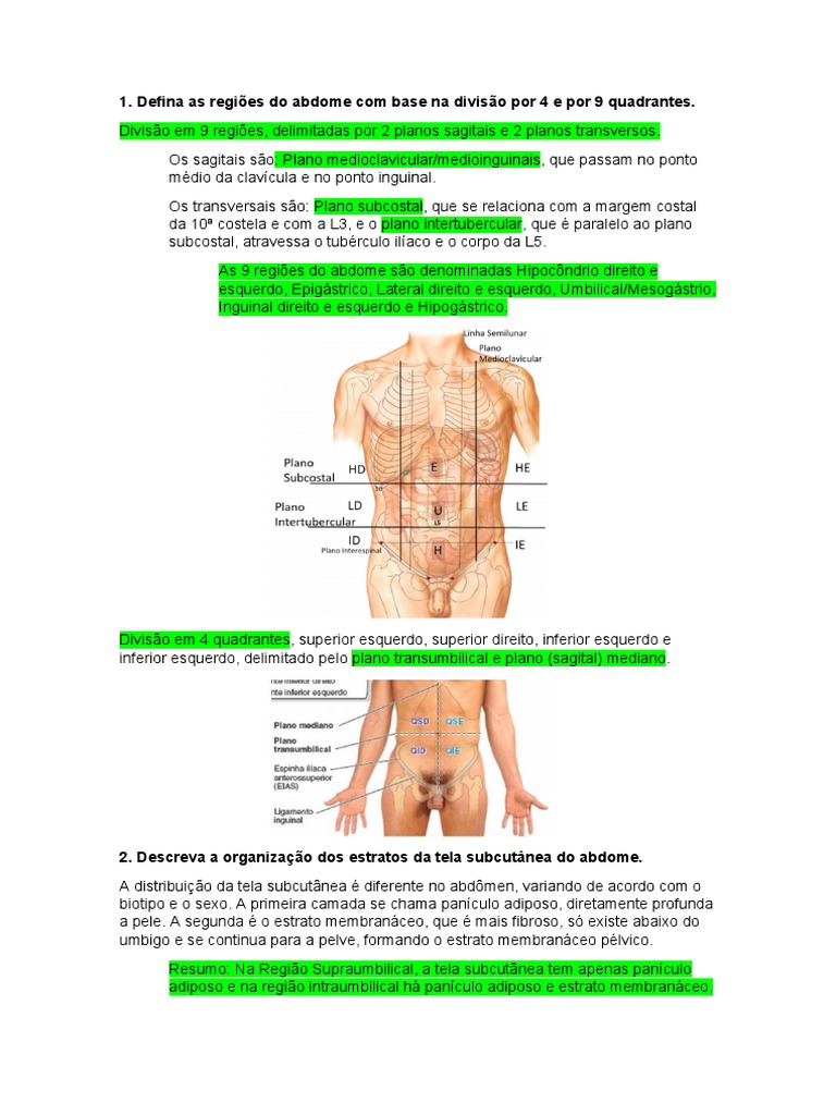 Abdome 1 PDF | PDF | Anatomia humana | Anatomia, image size:768x1024