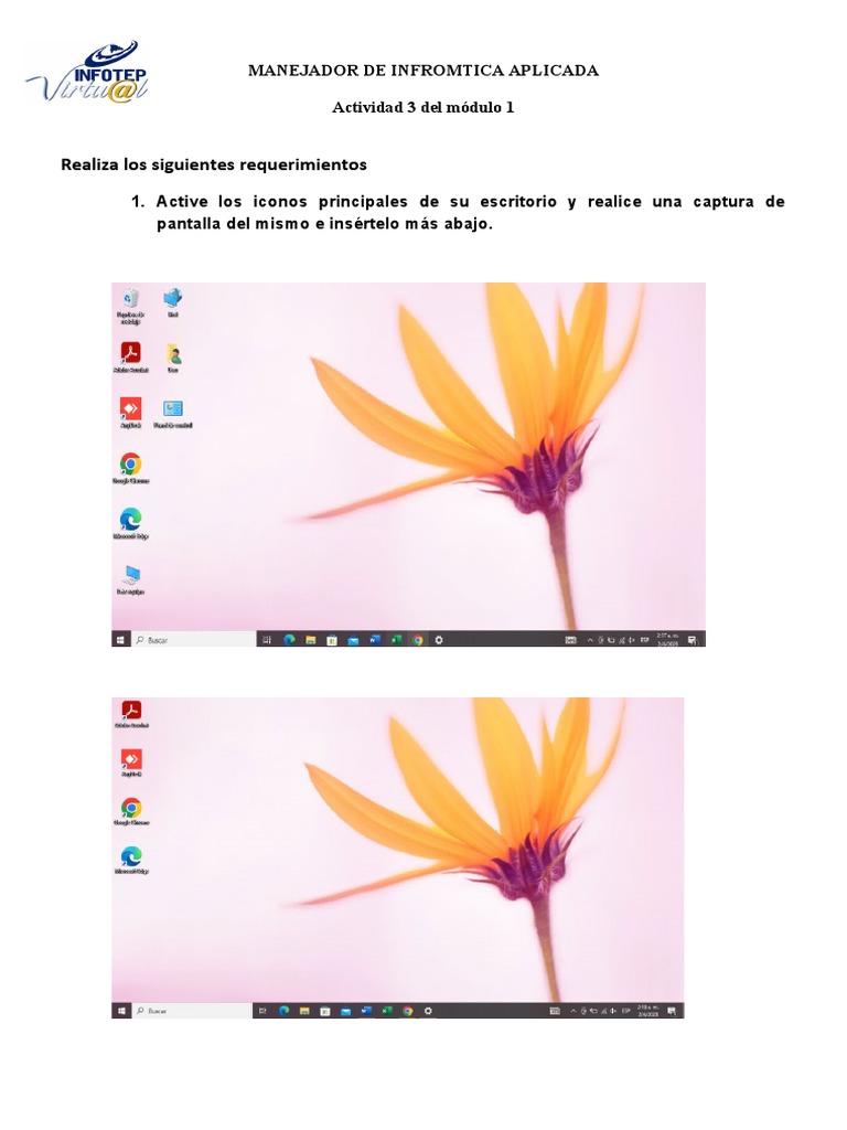 Actividad 3 Del Módulo 1 | PDF