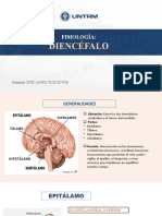 Diencéfalo by Ruiz SZ