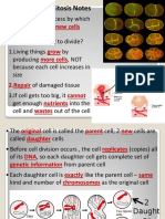 Mitosis