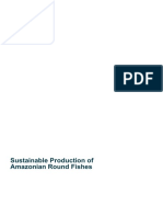 Freshwater Fish - 6.1 Amazonian Round Fish - 09. Processing and Commercialization