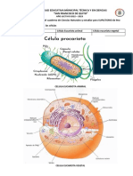 Cuestionario para Realizar en El Cuaderno de Ciencias Naturales y Estudiar para SUPLETORIO de 9no