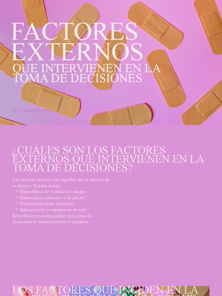 Factores Externos Que Intervienen en La Toma de Decisiones | PDF | Toma ...