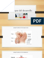 Etapas Del Desarrollo LOS PRIMEROS 3 ANOS DE VIDA