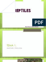 Clase 07 Reptiles