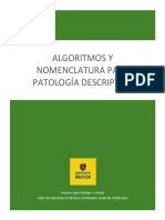 Laboratorio Nº2 - Patología Descriptiva 2