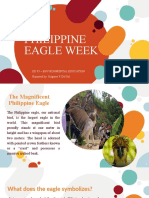 Philippine Eagle Week