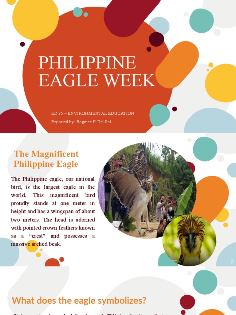 Philippine Eagle Week PDF Eagle Philippines