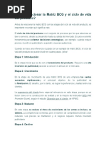 Matriz BCG: Productos Perro, Vaca y Estrella | PDF
