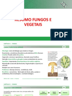 Resumo Fungos e Vegetais