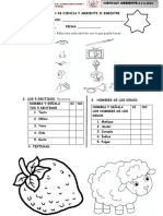 Examen de Ciencia y Ambiente Ii Bimestre