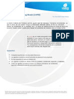 Capital Asset Pricing Model CAPM