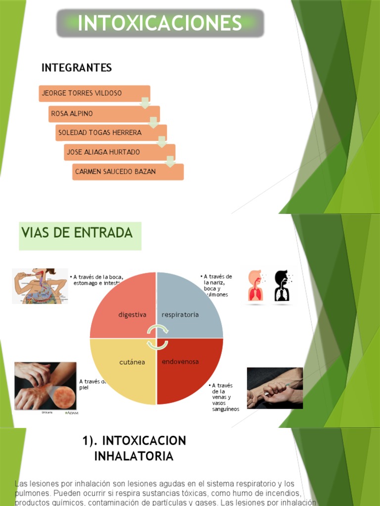 Tipos de Intoxicaciones | PDF | Medicina CLINICA | Especialidades Medicas