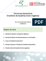 Estruturas Bacterianas e Envoltório de Bactérias Gram-Negativas - Com LPS