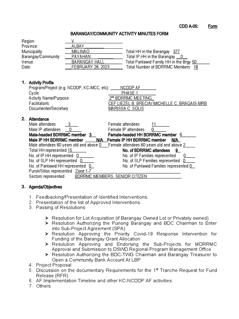 Barangay Payahan BDRRMC Meeting Minutes | PDF