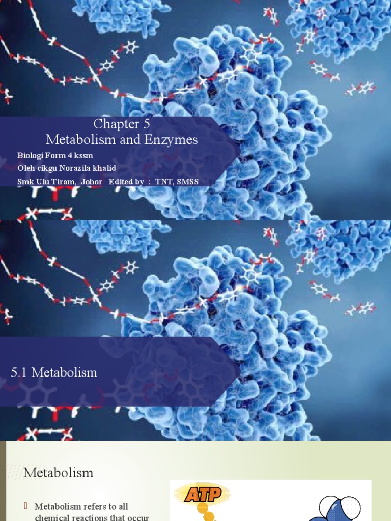 Metabolism and Enzymes in Biology Form 4 | PDF | Enzyme | Metabolism
