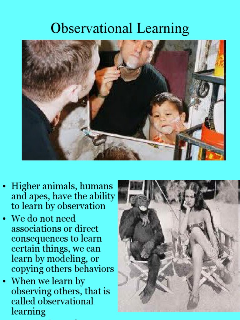 Understanding Observational Learning | PDF