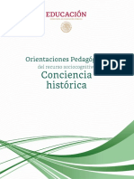 Conciencia Historica