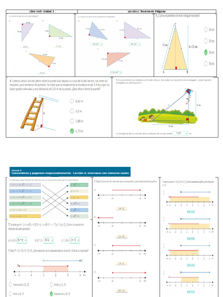 Kami Export - Libro Web - 8vo - Ejercicios | PDF