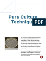 Ex 12 - Pure Culture Technique - SCIENTIST CINDY